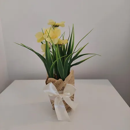 Comfort Lovely Diva 4, Ciovo, Okrug Trogir