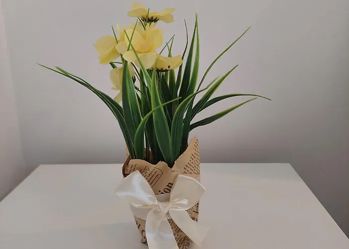 Comfort Lovely Diva 4, Ciovo, Okrug Trogir